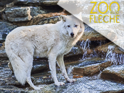 Zoo de la flèche - Sablé s/Sarthe