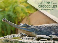 La Ferme Aux Crocodiles - Pierrelatte