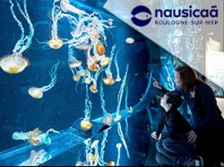 Nausicaa - Offre Exceptionnelle