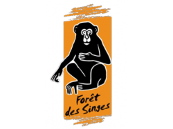 La Forêt des Singes