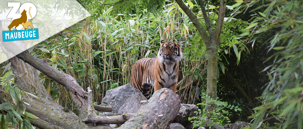 Zoo de Maubeuge