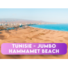 HAMMAMET 2027