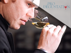 ProDégustation (e-coffret)