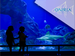 Aquarium Oniria - Canet-en-R.