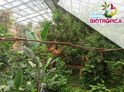 Biotropica