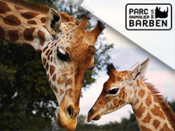 Parc Animalier de la Barben - S. de Provence