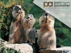 Parc animalier des Pyrénées - Argelès-Gazost
