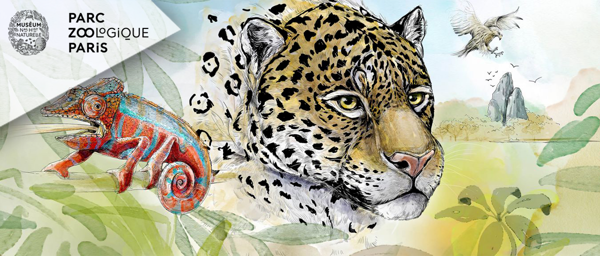 Parc Zoologique De Paris (E-Billets)