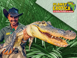 Planet exotica - Royan