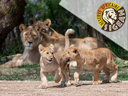 Reserve Africaine de Sigean - Narbonne