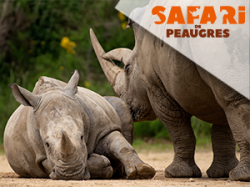 Safari de Peaugres - Annonay