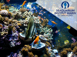 Seaquarium - Le Grau du Roi