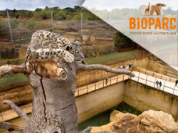 Bioparc de Doué la fontaine - Angers