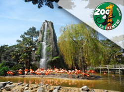 Zoo de La Palmyre - Royan