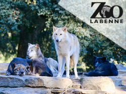 Zoo de Labenne - Bayonne