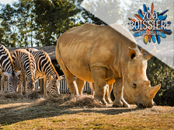Zoo La Boissière du Doré - Nantes